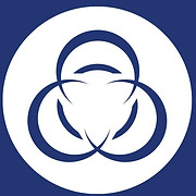 AVm Support