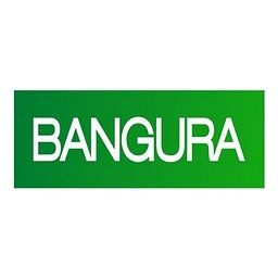 BANGURA SOLUTIONS