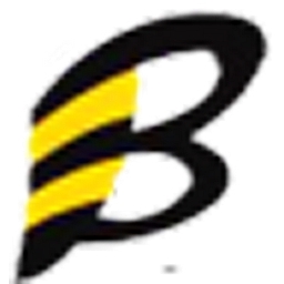 Beeline Networks