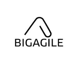 BIG AGILE