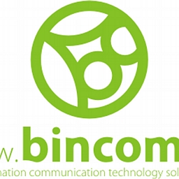 Bincom ICT Solutions