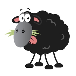 Black Sheep Support Limited