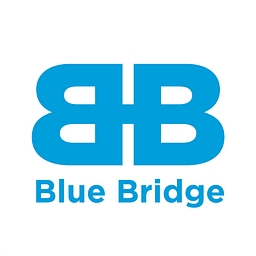 Blue Bridge Group AI