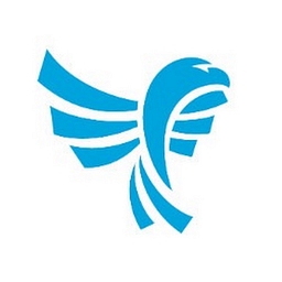 Blue Eagle Consulting