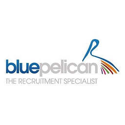 BLUE PELICAN CONSULTING