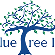 Blue Tree IT & Communications