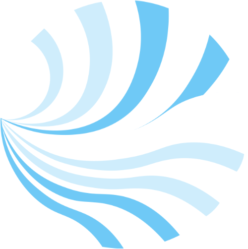 Blue Zebra Consultancy