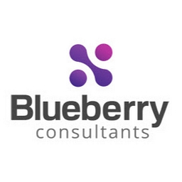 Blueberry Consultants