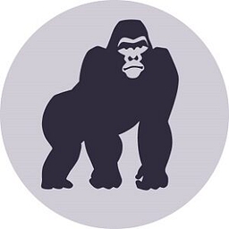 BlueKong Networks