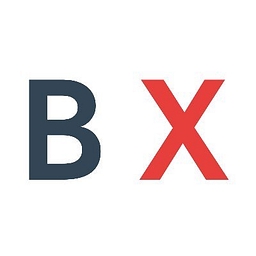 BridgingX