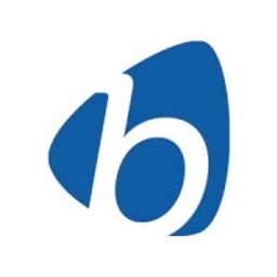 BSI