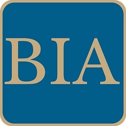 Business Intelligence Analytics Inc.