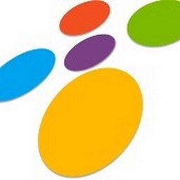 Pioneering IT Solutions