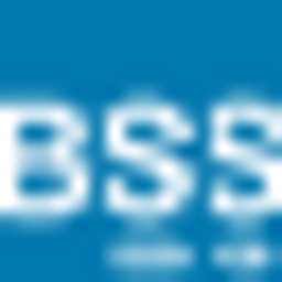 Business Software & Systems