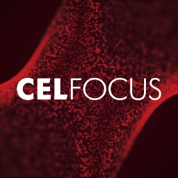 Celfocus