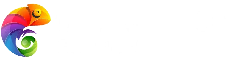 Chameleon Support Ltd
