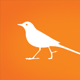 Chittak Consulting