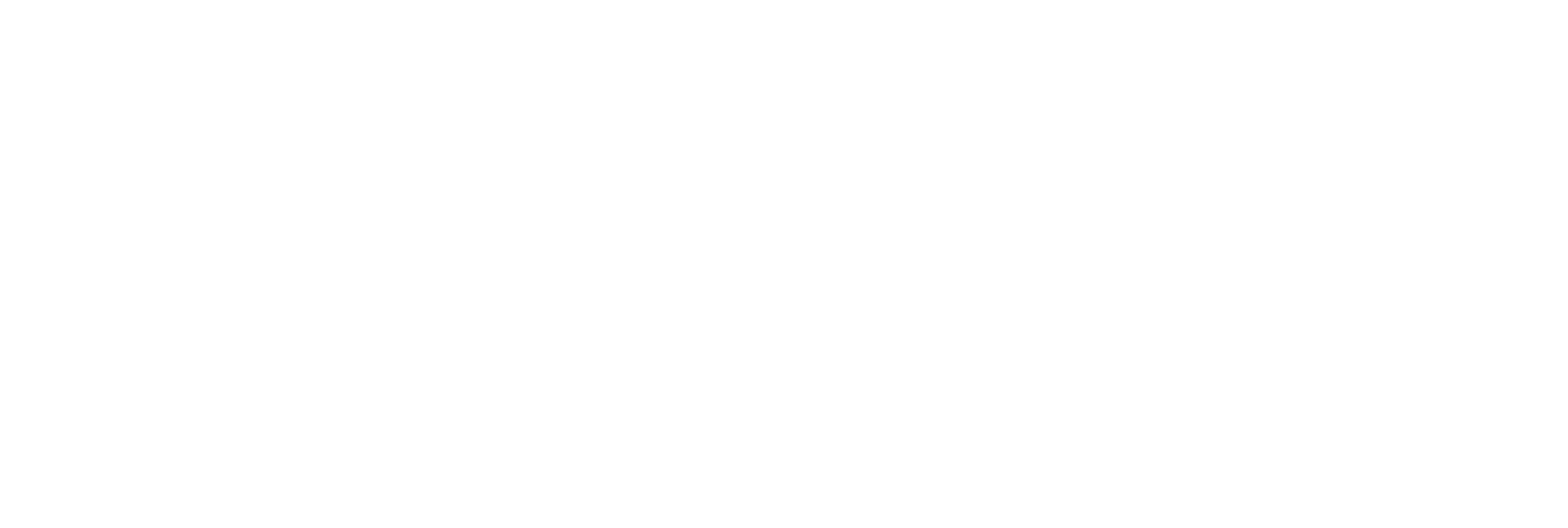 ClearFibre