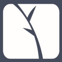Cedar Telecom Limited