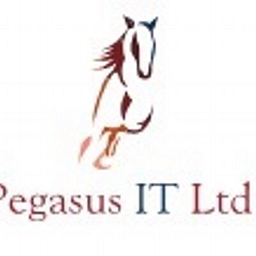Pegasus IT Ltd