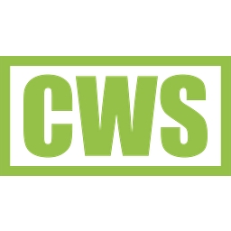 Computer Work Solutions