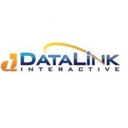 DataLink Interactive