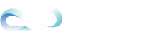Connex Carrier Services Worldwide LTD