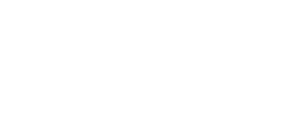Discus Systems PLC