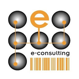 E-Consulting