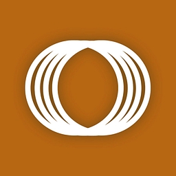 FI Consulting