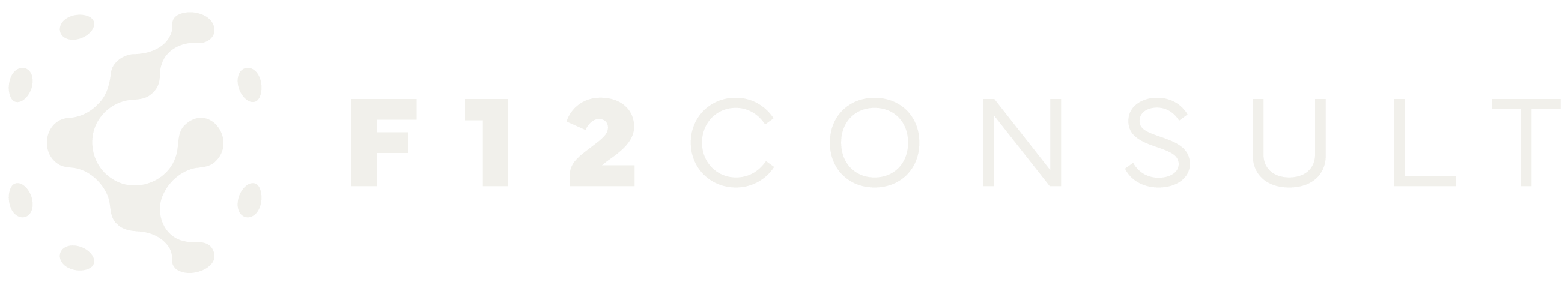 F12 Consult