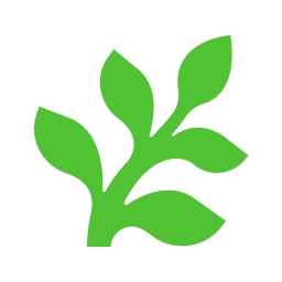 Fern