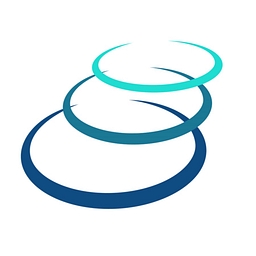 FLINT UK TECHNOLOGY SERVICES