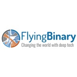 FLYINGBINARY