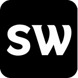 Silicon Whiz