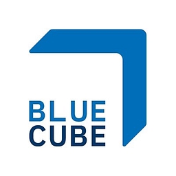 Blue Cube Security