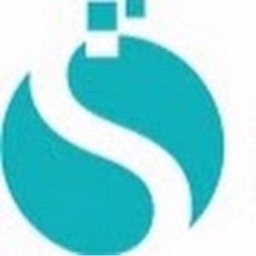 IT Consulting Services