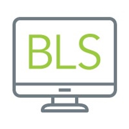 BLS IT Solutions