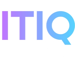 ITIQ Group