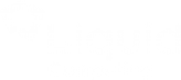 Liquid Computing