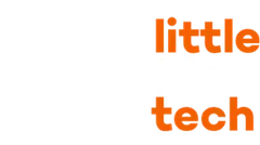 Little Big Tech