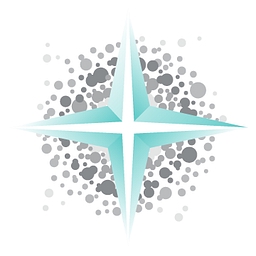 LUCIDA MEDICAL