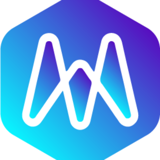 Maximo Computer Services