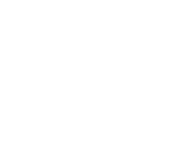 Maximum Technologies