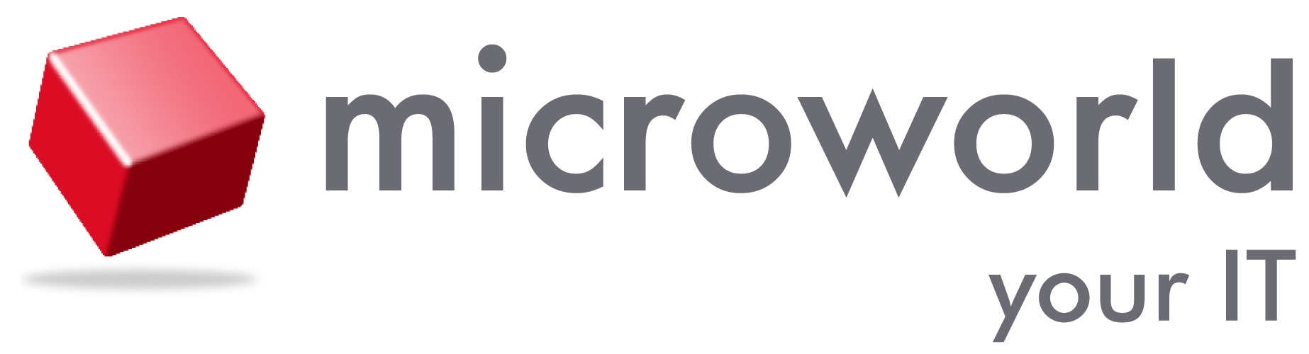 Microworld Yorkshire Limited