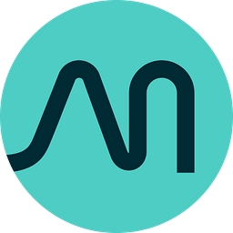 Mint Consulting