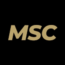 MS CONSULTING PARTNERS