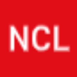 Net Consulting