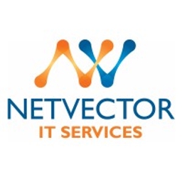 NetVector IT Consultant