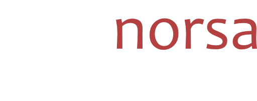 Norsa IT Systems